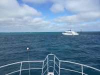 Great day of scuba diving in Key Largo with Rainbow Reef on spanish anchor tropical legend 2017 12 30 r5214 1