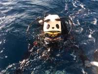 Great day of scuba diving in Key Largo with Rainbow Reef on spiegel grove tropical explorer 2017 12 02 r5070 1