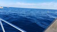 Great day of scuba diving in Key Largo with Rainbow Reef on spiegel grove tropical explorer 2017 12 24 r5174 1