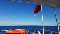 Great day of scuba diving in Key Largo with Rainbow Reef on spiegel grove tropical legend 2017 12 12 r5113 1