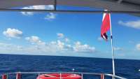 Great day of scuba diving in Key Largo with Rainbow Reef on spiegel grove tropical odyssey 2017 12 03 r5074 1