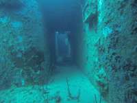 Great day of scuba diving in Key Largo with Rainbow Reef on spiegel grove tropical odyssey 2017 12 05 r5086 1