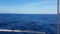 Great day of scuba diving in Key Largo with Rainbow Reef on spiegel grove tropical odyssey 2017 12 08 r5099 1