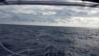 Great day of scuba diving in Key Largo with Rainbow Reef on spiegel grove tropical odyssey 2017 12 17 r5134 1
