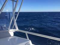 Great day of scuba diving in Key Largo with Rainbow Reef on uscgc bibb tropical odyssey 2017 12 13 r5115 1