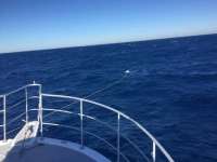 Great day of scuba diving in Key Largo with Rainbow Reef on uscgc duane tropical odyssey 2017 12 13 r5116 1