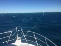 Great day of scuba diving in Key Largo with Rainbow Reef on winch hole tropical adventure 2017 12 10 r5105 1