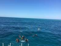 Great day of scuba diving in Key Largo with Rainbow Reef on benwood wreck tropical legend 2017 02 05 r3818 1
