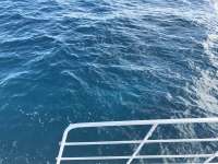 Great day of scuba diving in Key Largo with Rainbow Reef on benwood wreck tropical legend 2017 02 12 r3846 1