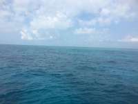 Great day of scuba diving in Key Largo with Rainbow Reef on benwood wreck tropical legend 2017 02 19 r3882 1