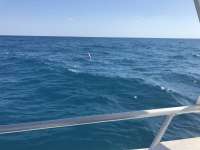 Great day of scuba diving in Key Largo with Rainbow Reef on benwood wreck tropical odyssey 2017 02 15 r3865 1
