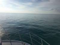 Great day of scuba diving in Key Largo with Rainbow Reef on christ statue tropical adventure 2017 02 17 r3873 1