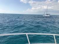 Great day of scuba diving in Key Largo with Rainbow Reef on christ statue tropical odyssey 2017 02 19 r3884 2