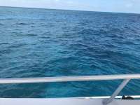 Great day of scuba diving in Key Largo with Rainbow Reef on christmastree cave tropical legend 2017 02 12 r3848 1