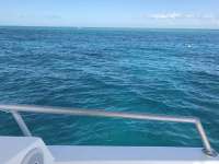 Great day of scuba diving in Key Largo with Rainbow Reef on christmastree cave tropical odyssey 2017 02 08 r3828 1