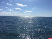 Great day of scuba diving in Key Largo with Rainbow Reef on city of washington tropical legend 2017 02 20 r3889 1