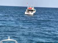 Great day of scuba diving in Key Largo with Rainbow Reef on eagle ray alley tropical adventure 2017 02 04 r3815 1