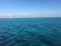 Great day of scuba diving in Key Largo with Rainbow Reef on eagle ray alley tropical legend 2017 02 09 r3831 1