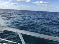 Great day of scuba diving in Key Largo with Rainbow Reef on eagle ray alley tropical odyssey 2017 02 11 r3838 1