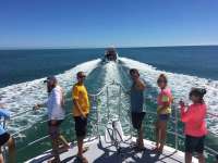 Great day of scuba diving in Key Largo with Rainbow Reef on eagle ray alley tropical odyssey 2017 02 24 r3906 1