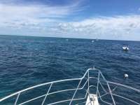Great day of scuba diving in Key Largo with Rainbow Reef on fire coral cave tropical adventure 2017 02 02 r3800 1