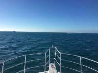Great day of scuba diving in Key Largo with Rainbow Reef on fire coral cave tropical legend 2017 02 25 r3910 1