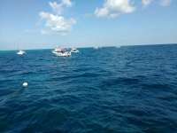 Great day of scuba diving in Key Largo with Rainbow Reef on fire coral cave tropical voyager 2017 02 04 r3813 1