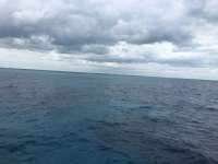 Great day of scuba diving in Key Largo with Rainbow Reef on french reef tropical legend 2017 02 21 r3891 1