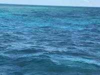 Great day of scuba diving in Key Largo with Rainbow Reef on hole in the wall tropical odyssey 2017 02 06 r3820 1