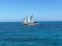 Great day of scuba diving in Key Largo with Rainbow Reef on minnow cave tropical odyssey 2017 02 12 r3851 1