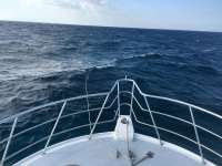 Great day of scuba diving in Key Largo with Rainbow Reef on molasses reef tropical adventure 2017 02 15 r3860 1