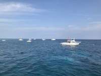 Great day of scuba diving in Key Largo with Rainbow Reef on molasses reef tropical adventure 2017 02 18 r3880 3
