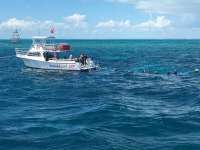 Great day of scuba diving in Key Largo with Rainbow Reef on molasses reef tropical adventure 2017 02 23 r3899 1