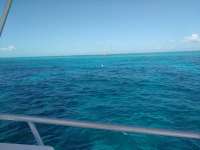 Great day of scuba diving in Key Largo with Rainbow Reef on molasses reef tropical legend 2017 02 08 r3829 1