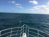 Great day of scuba diving in Key Largo with Rainbow Reef on molasses reef tropical legend 2017 02 10 r3835 1