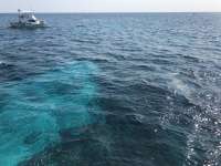 Great day of scuba diving in Key Largo with Rainbow Reef on molasses reef tropical legend 2017 02 18 r3877 1