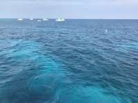 Great day of scuba diving in Key Largo with Rainbow Reef on molasses reef tropical legend 2017 02 18 r3879 1