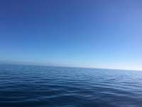 Great day of scuba diving in Key Largo with Rainbow Reef on molasses reef tropical legend 2017 02 25 r3907 1