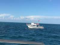 Great day of scuba diving in Key Largo with Rainbow Reef on molasses reef tropical odyssey 2017 02 09 r3833 1