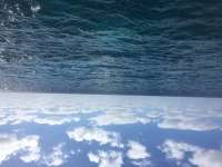 Great day of scuba diving in Key Largo with Rainbow Reef on molasses reef tropical voyager 2017 02 11 r3841 1