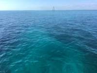 Great day of scuba diving in Key Largo with Rainbow Reef on molasses reef tropical voyager 2017 02 13 r3855 1