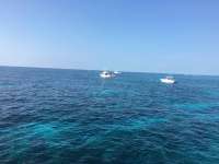 Great day of scuba diving in Key Largo with Rainbow Reef on molasses reef tropical voyager 2017 02 18 r3876 1