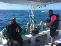 Great day of scuba diving in Key Largo with Rainbow Reef on north star tropical adventure 2017 02 11 r3842 2