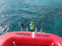 Great day of scuba diving in Key Largo with Rainbow Reef on north star tropical odyssey 2017 02 27 r3916 1