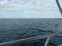 Great day of scuba diving in Key Largo with Rainbow Reef on permit ledges tropical odyssey 2017 02 01 r3796 1