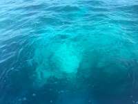 Great day of scuba diving in Key Largo with Rainbow Reef on sand island tropical adventure 2017 02 10 r3837 1