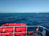 Great day of scuba diving in Key Largo with Rainbow Reef on snapper ledge tropical legend 2017 02 07 r3826 1