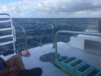 Great day of scuba diving in Key Largo with Rainbow Reef on spiegel grove tropical adventure 2017 02 01 r3797 1