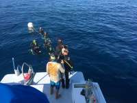 Great day of scuba diving in Key Largo with Rainbow Reef on spiegel grove tropical adventure 2017 02 14 r3856 2