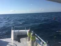Great day of scuba diving in Key Largo with Rainbow Reef on spiegel grove tropical explorer 2017 02 04 r3816 1